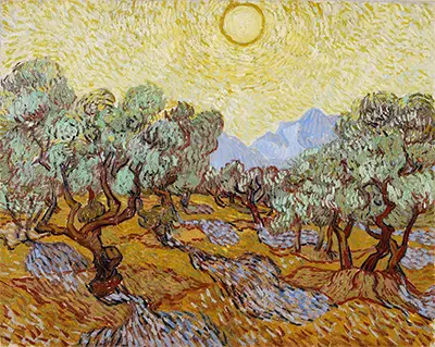 Olivenbäume mit gelbem Himmel und Sonne Vincent van Gogh